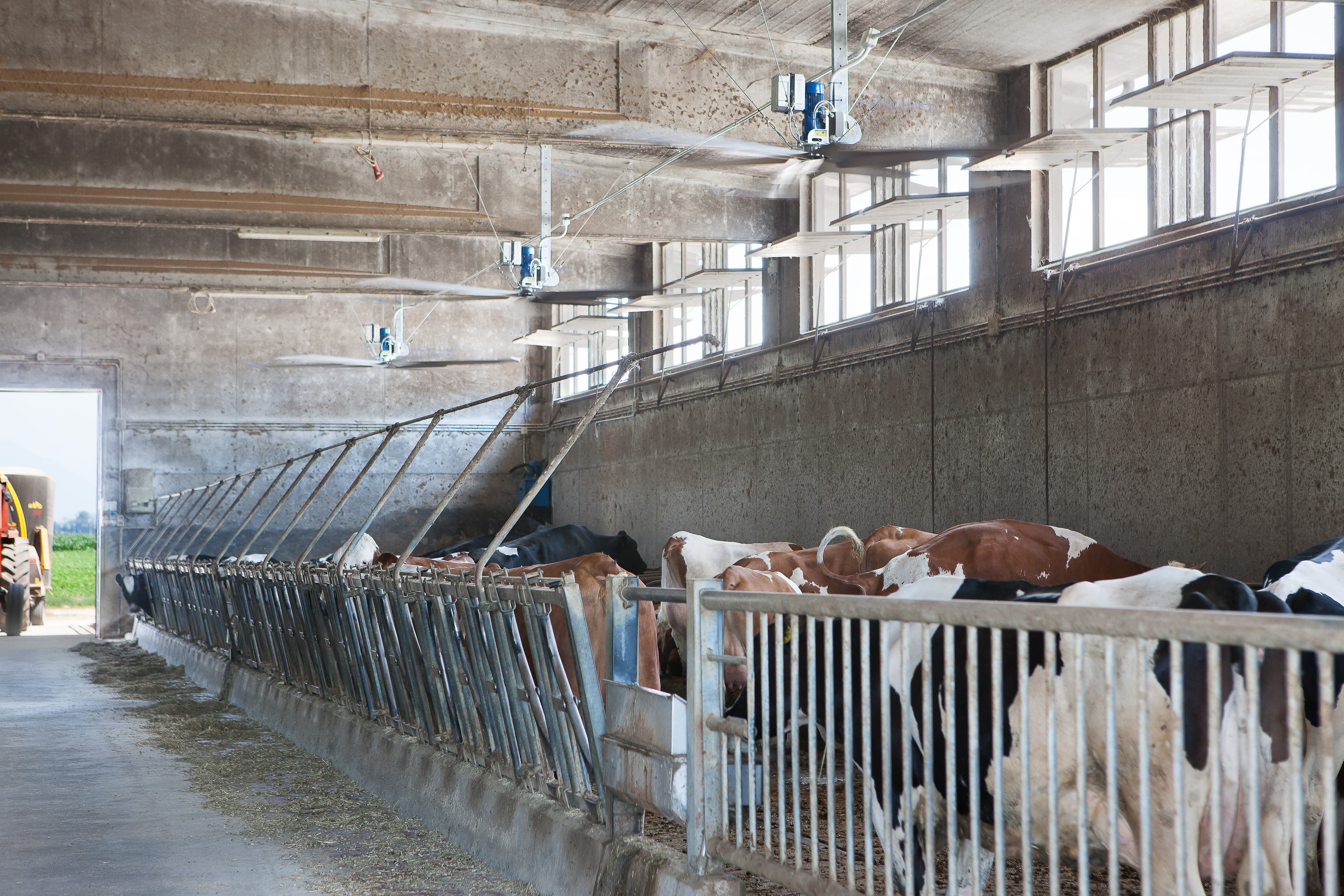 chs cooling for dairy